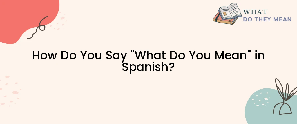  How Do You Say What Do You Mean In Spanish What Do They Mean